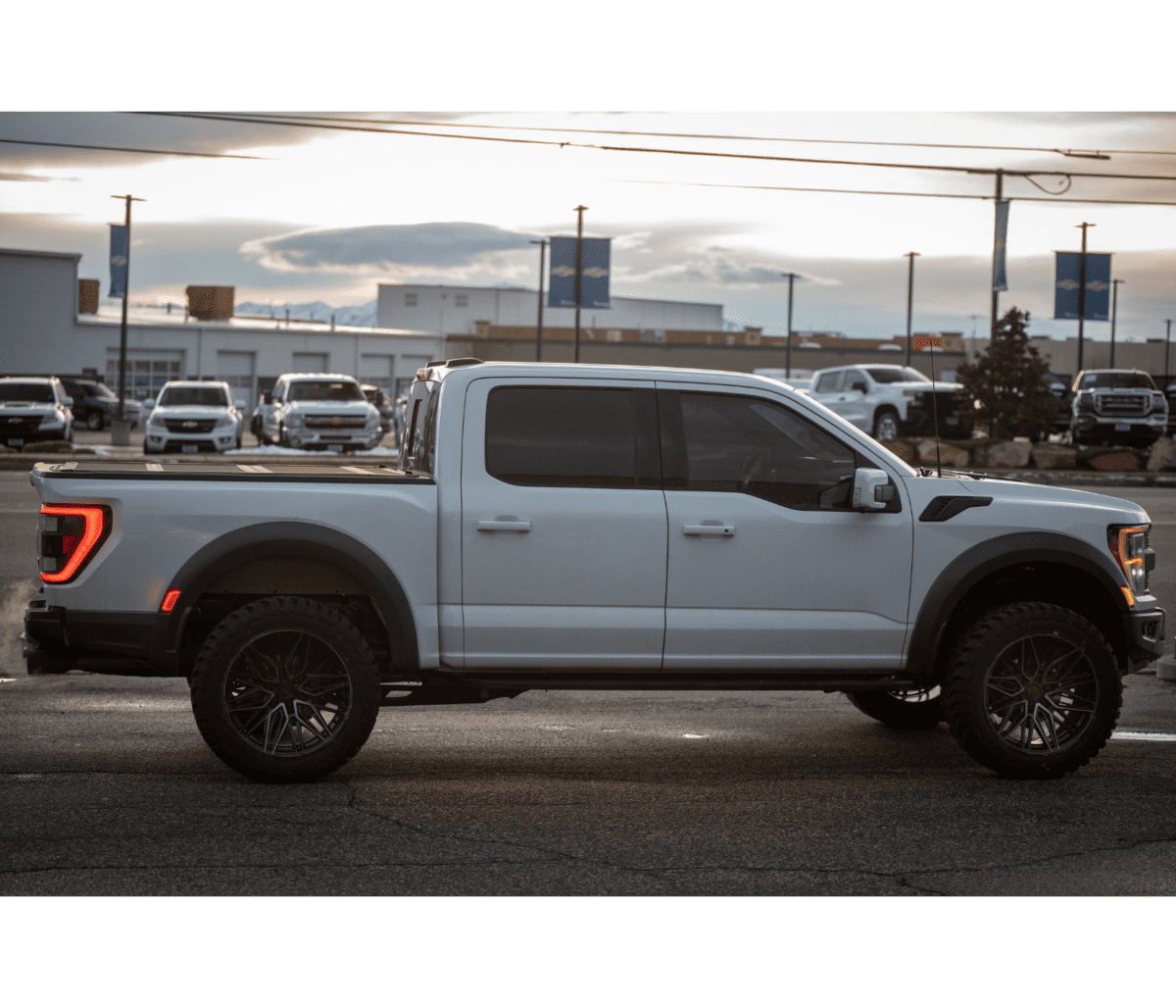 Ford F150 Raptor 1.5" Leveling Kit 2021+ (3rd Gen) - Bison Off Road
